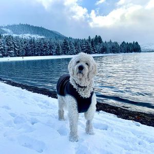 Meet your Posher, Mullington